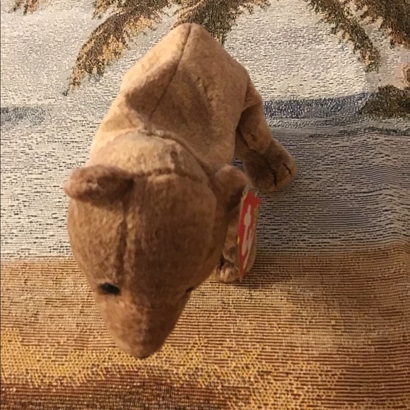 TY beanie babies Pecan bear brown BD 4/15/99. Clean bad protected - Picture 3 of 8